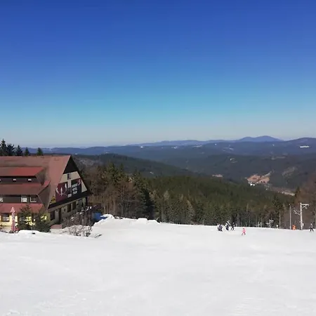Fran * Maków